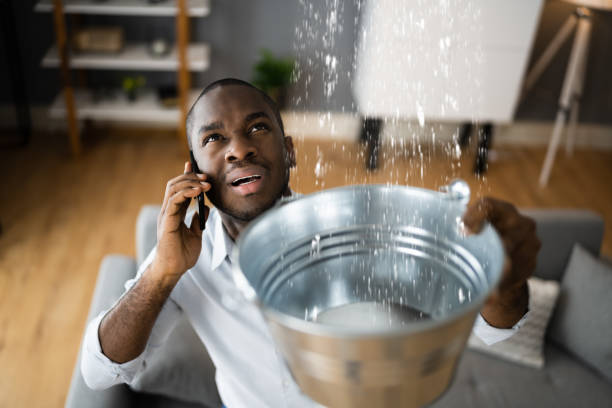 Best Basement water damage restoration  in New Franklin, MO