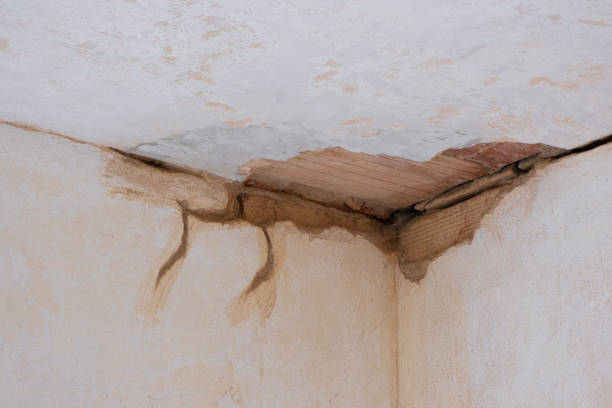 Water damage restoration mold remediation in New Franklin, MO