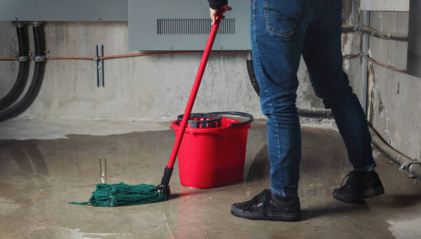 Best Mold removal after water damage  in New Franklin, MO