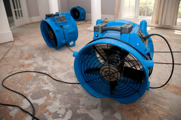 Best Carpet water damage restoration  in New Franklin, MO