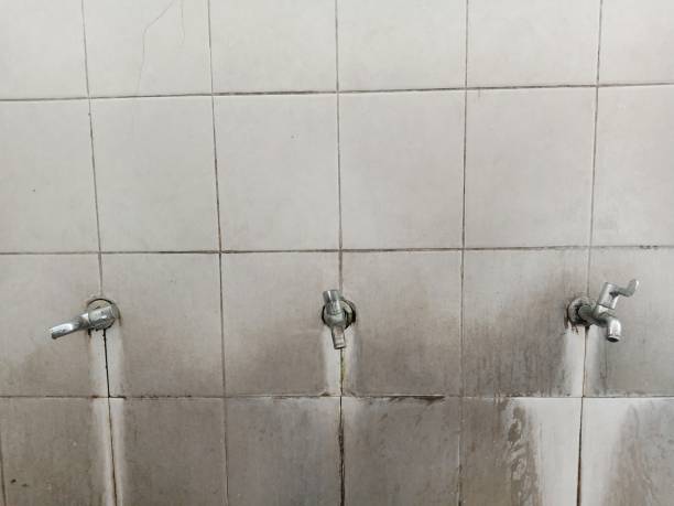 Best Water damage restoration near me  in New Franklin, MO