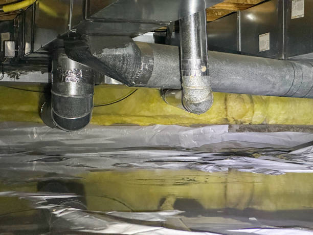 Best Flood restoration services  in New Franklin, MO