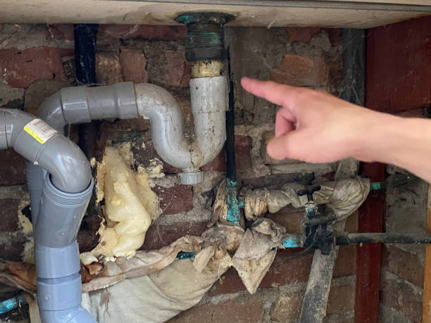 Best Water damage restoration near me  in New Franklin, MO