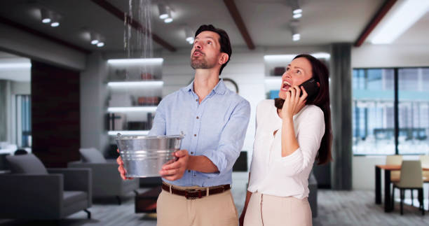 Best Water damage restoration process  in New Franklin, MO